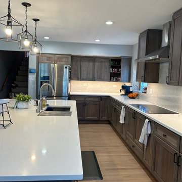 Oak Lawn Kitchen remodel