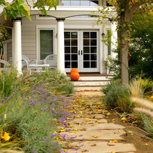 Landscape Ideas