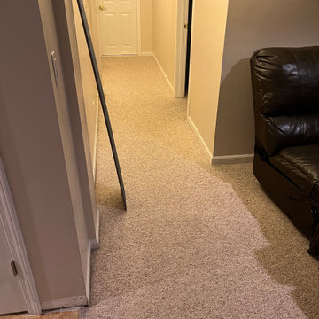 Laminate flooring installation en