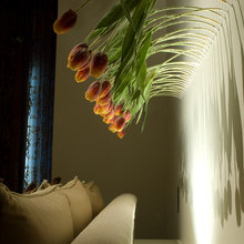 Living Room Ideas