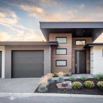 Lot 25 Chocolate Lily Lane