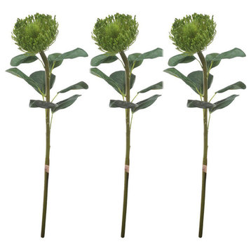 Set Of 3 Faux Pincushion Protea Stem 28"H Green