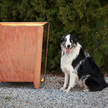 copper obsession