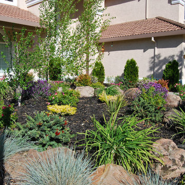 Our Work