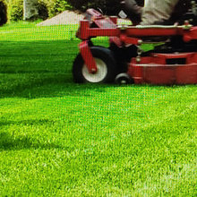 GRASS