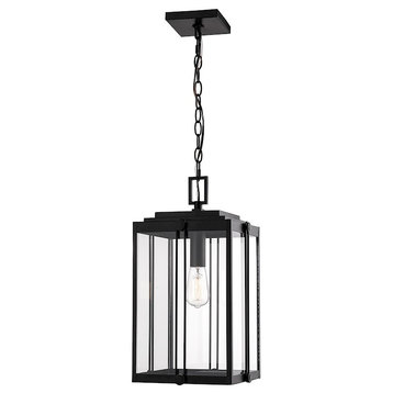 Millennium Oakland 1 Light 17.5" Outdoor Hanging Lantern, Black, 2635-PBK