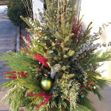 Winter / Holiday Container Gardens