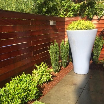 Stylish Urban Garden