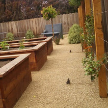 Edible Gardens