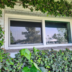 Vinyl Single Slider Windows - Windows