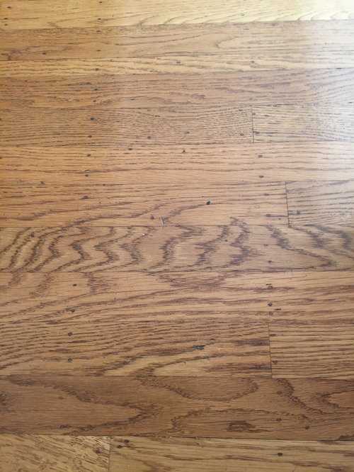 Hardwood Floors And Radiant Electrical Floor Heat