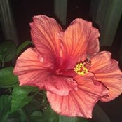 Karen Adney's photo