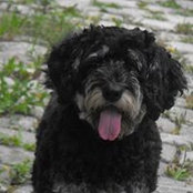 Foto von Chris Hundemann