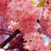 Fanfouette Jebahi's photo