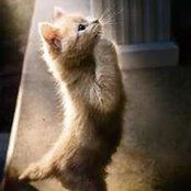 Cliff Powers's photo