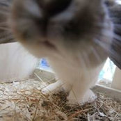 Tori B's photo