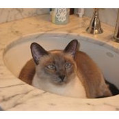 Nancy Deddy's photo