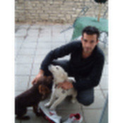 Alex Petrilli's photo