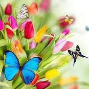 Sindy Hartman's photo
