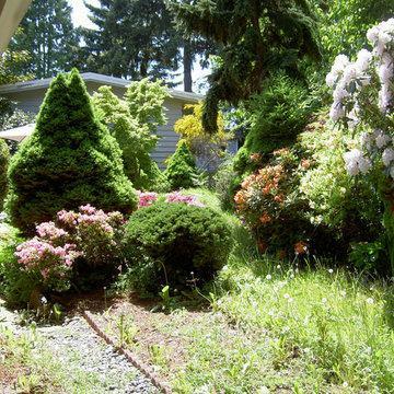 Before & After - Kenmore