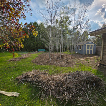 Property Cleanup 1