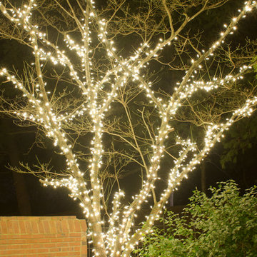 Outdoor string lights on patio in Nashville, TN