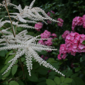 Perennial Garden, Westport, CT