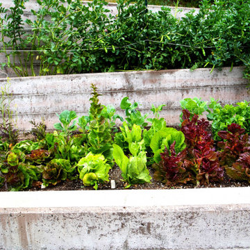 Extraordinary Greenery