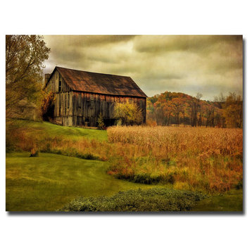 'Old Barn on Rainy Day' Canvas Art by Lois Bryan