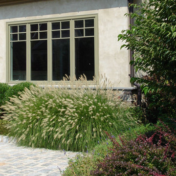 Boxwood, Coreopsis, Dwarf Fountain Grass, Crimson Pygmy Barberry