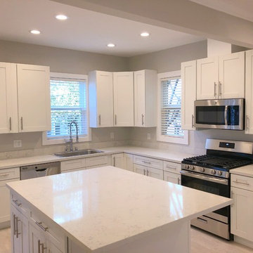 Kitchen Remodel/Renovation