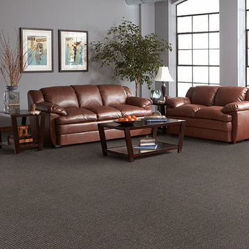 Dabbieri Collection