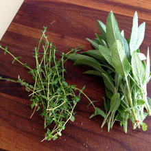 Herbs