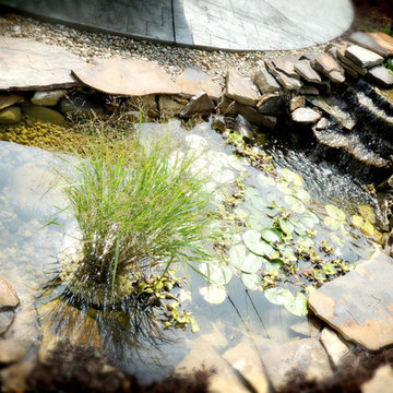 Hardscaping Projects