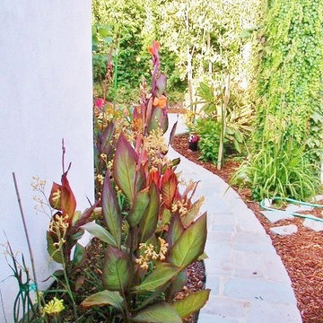 SEMI TROPICS