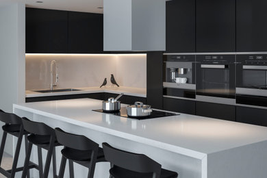 Example of a minimalist kitchen design in New York