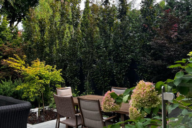 Inspiration for a contemporary patio remodel in Other
