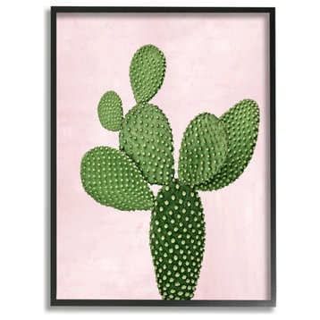 Prickly Cactus Dessert Plant Nature Succulent Pink Green ,1pc, each 16 x 20