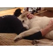 Jennifer Schmutzler's photo