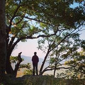 Photo de Tiffany