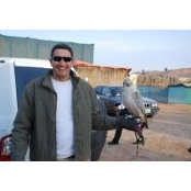 Mohamed Ebeids foto