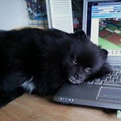 Foto de Janice Baker
