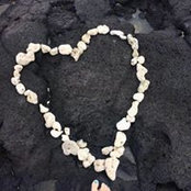 Jenny Cai's photo