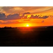 Mel K's photo