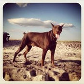 Ray Rhi's photo