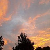 Amy Chase's photo