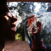 Arthur Green's photo
