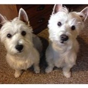 Susan Mathews-Pearson's photo