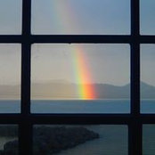 Shelley von's photo