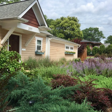New front garden, 2 years after installation.